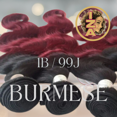 Burmese 12A 180% Bundles Burgundy 1b/99