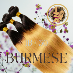 Burmese 12A 180% Bundles 1b/30