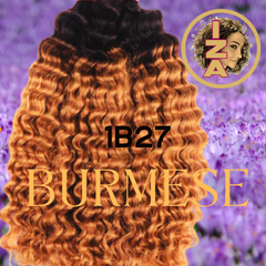 Burmese 12A 180% Bundles 1b/27